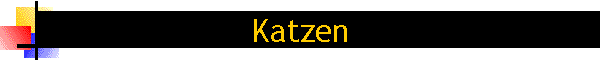 Katzen